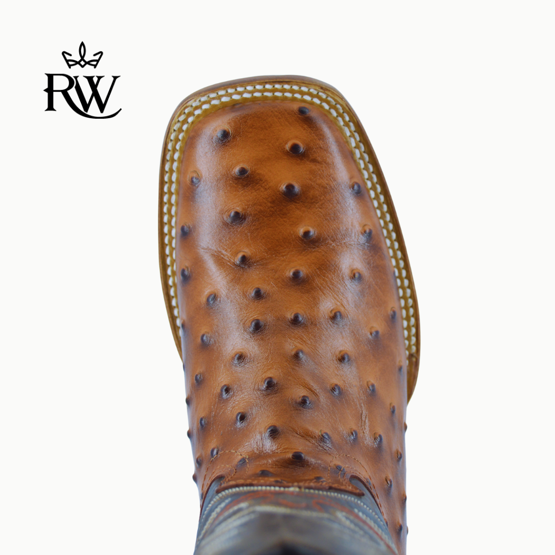 Bota de Rodeo Avestruz Africana Shedron/Imitación
