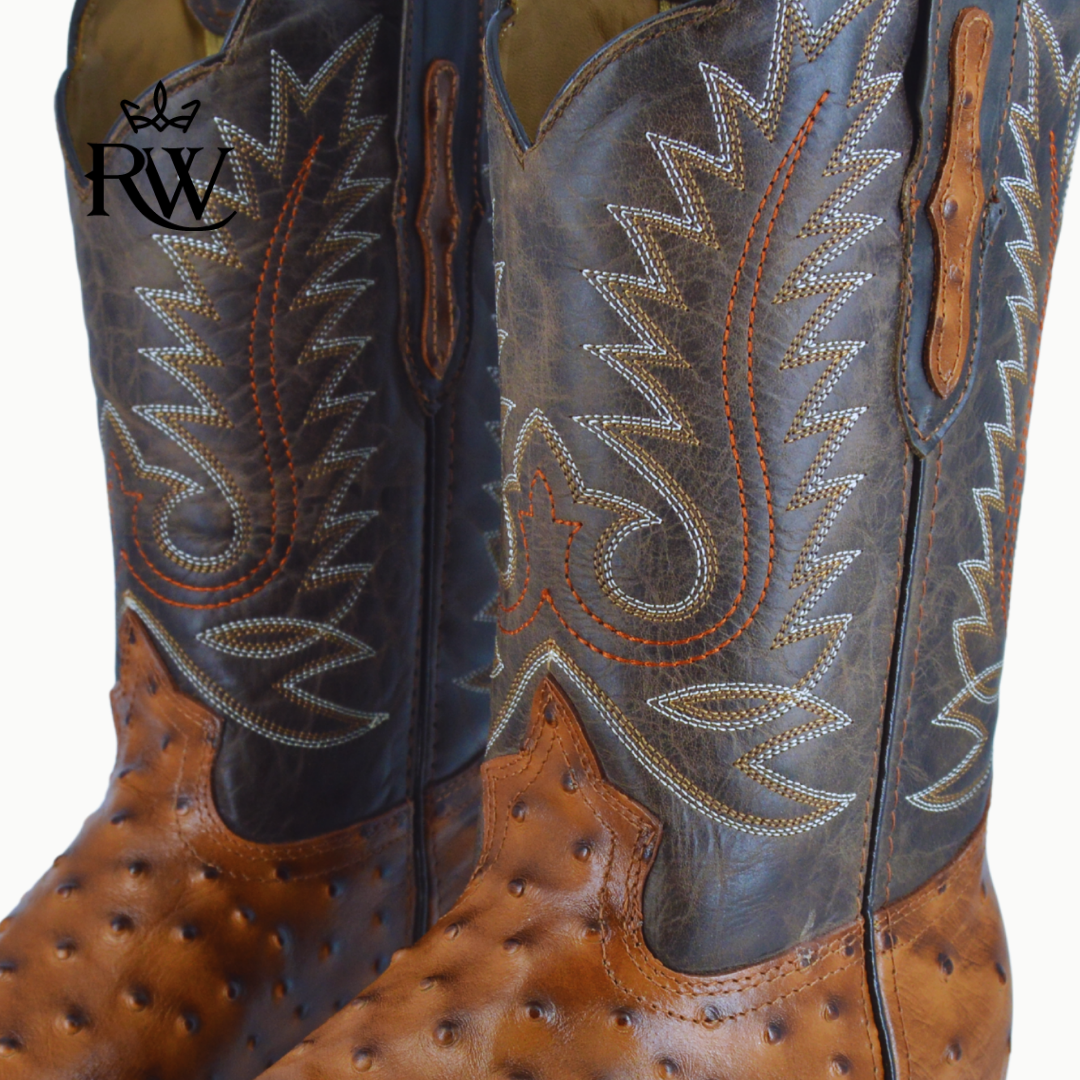 Bota de Rodeo Avestruz Africana Shedron/Imitación